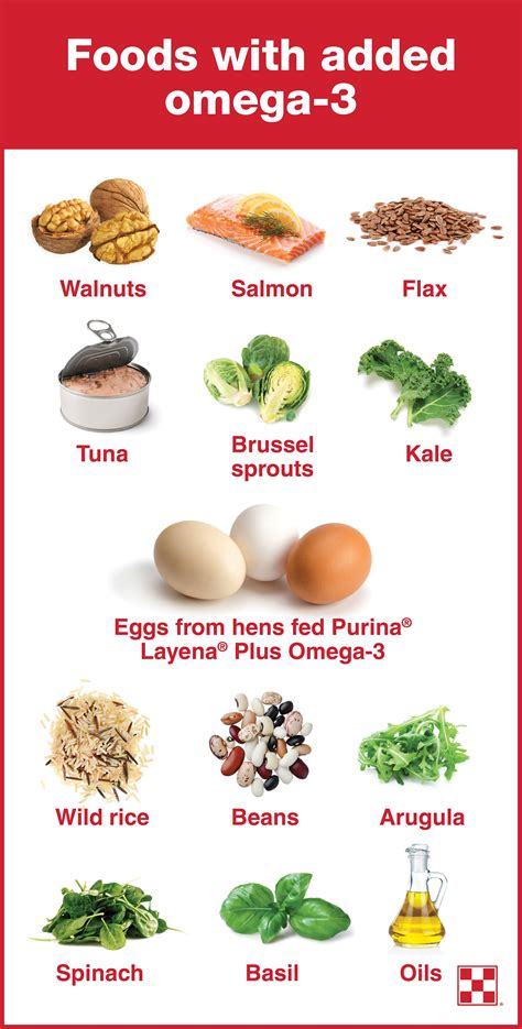 omega foods list.